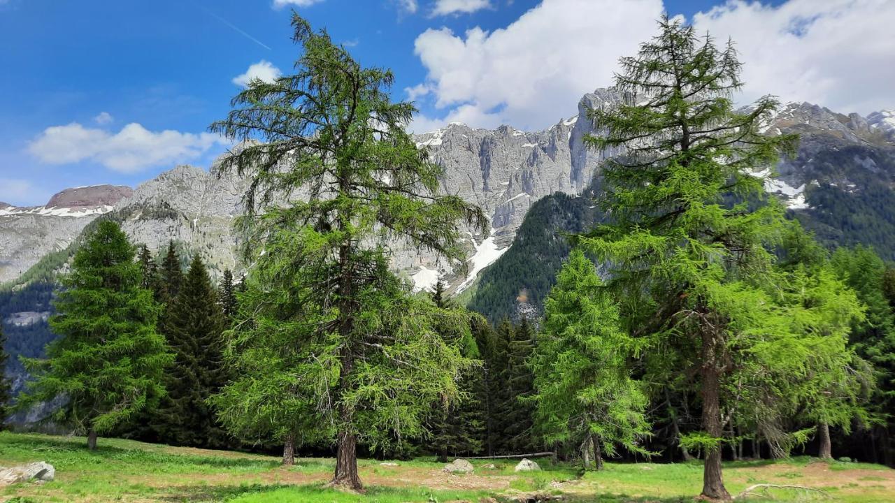Il Maso In Val Di Sole Lägenhet Commezzadura Exteriör bild
